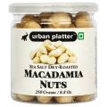 Urban Platter Sea Salt Dry-Roasted Macadamia Nuts, 250g Macadamia Urban Platter