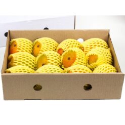 Urban Platter Premium Alphonso Mangoes, 12 Pieces / 1 Dozen [Export Quality, Grade A, Carbide-free] - Small Size