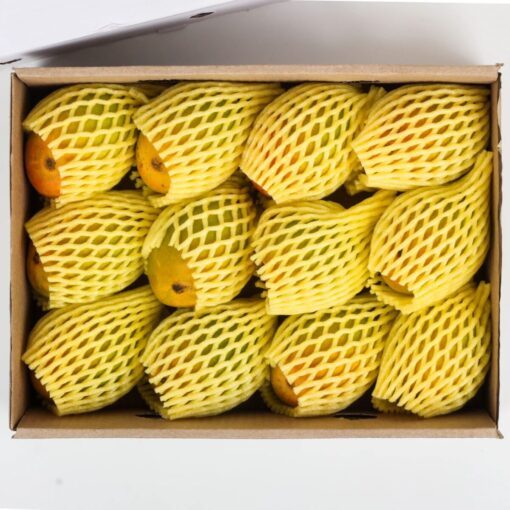 Urban Platter Premium Alphonso Mangoes, 12 Pieces / 1 Dozen [Export Quality, Grade A, Carbide-free] - Large Size