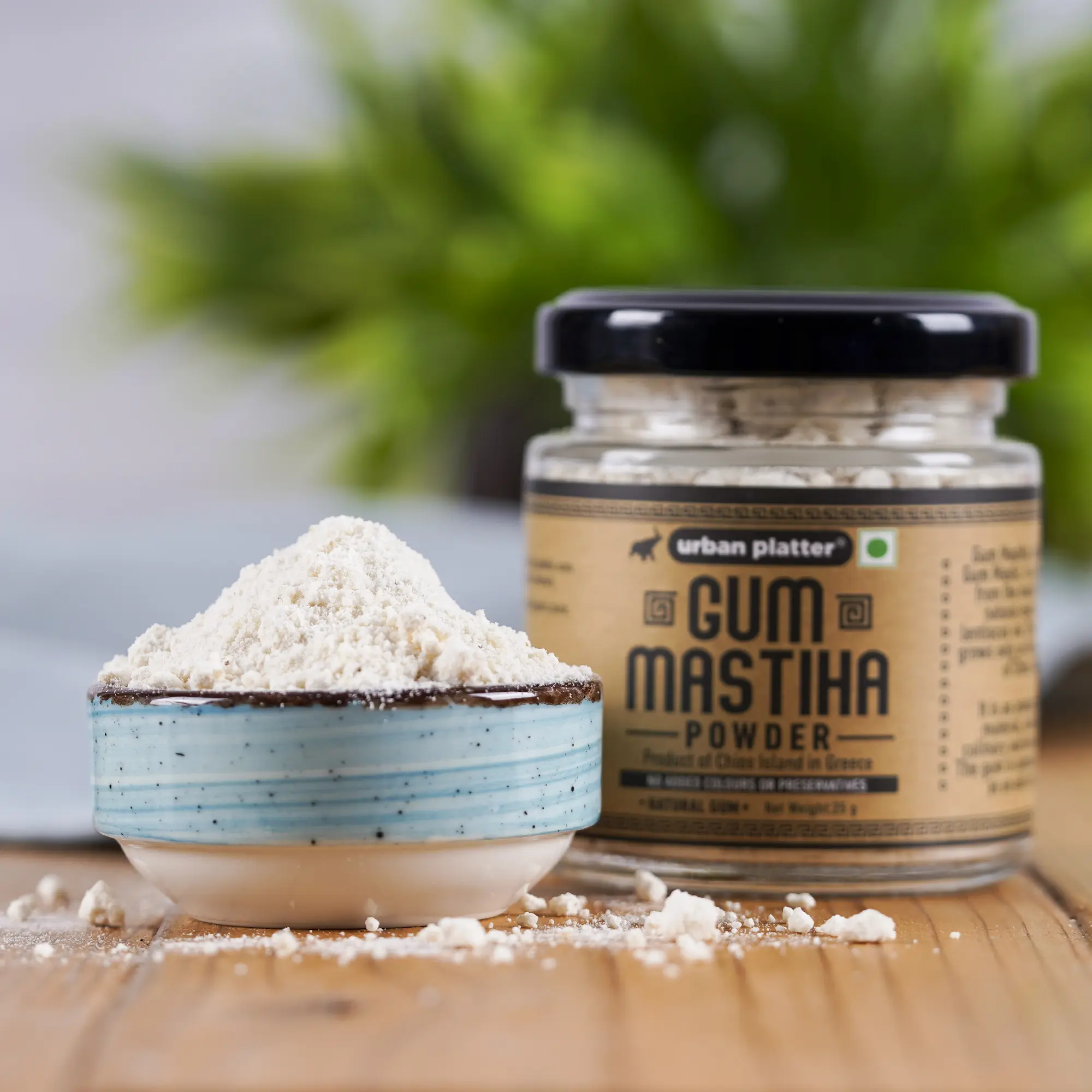 Urban Platter Gum Mastiha Powder, 25g (Powdered Mastic Gum / Mastiha of  Chios Island from Greece, Pistacia Lentiscus